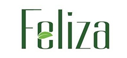Dự án Feliza