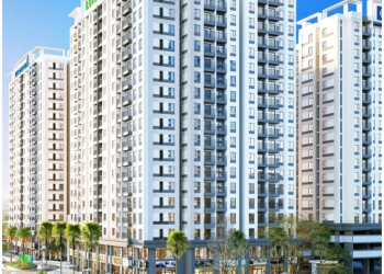 Giá bán hợp lý đảm bảo tính thanh khoản, sinh lời cao