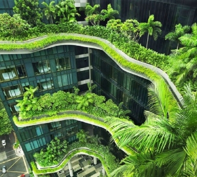 Môi trường sống xanh tại Foresta Khang Điền đang được nhà thầu hoàn thiện như thế nào